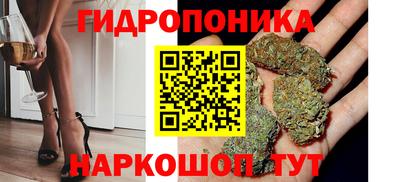 мдма Сланцы