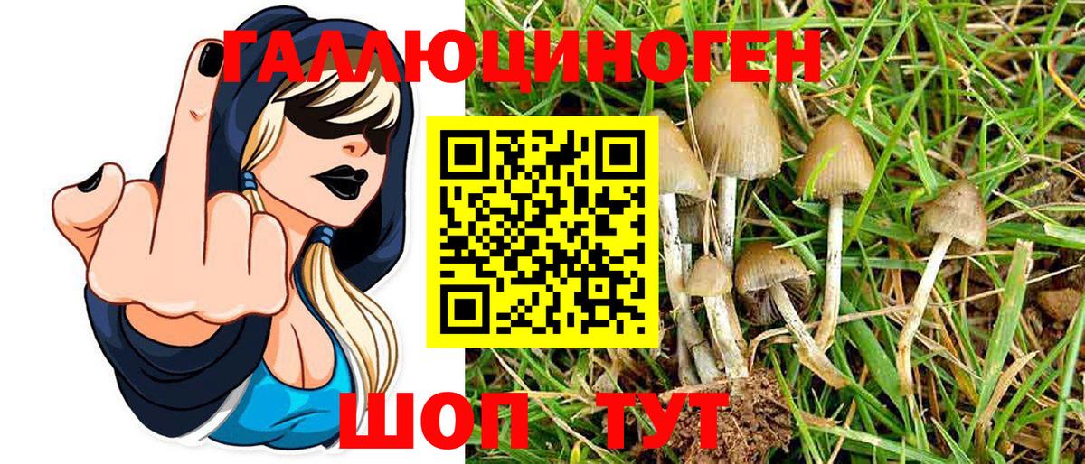 Псилоцибиновые грибы MAGIC MUSHROOMS Реутов